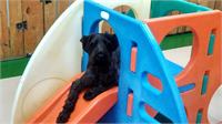 daycare pic 40 - kaiser on play equip